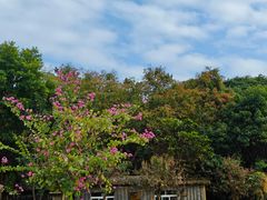 -三亚南山文化旅游区