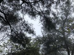 -缙云山景区