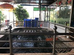 -绿雅居原生态农庄(小涌店)