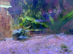 -内蒙古自治区国际蒙医医院(总院)