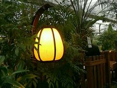-汤山翠谷生态餐厅