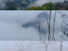 -四明山国家森林公园