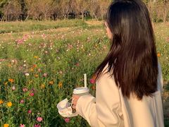 -瑶湖郊野森林公园