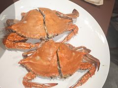 -天天鱼港·海鲜·鲅鱼水饺·招牌烤鸭(黄骅店)