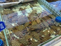 -大锅强·蒸海鲜青岛菜(金沙滩店)