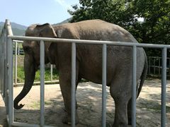 景点-西安秦岭野生动物园