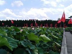 -毛泽东才溪乡调查旧址景区