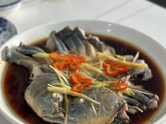 -煲来饱去冷水鱼