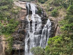 -海南热带雨林国家公园吊罗山景区