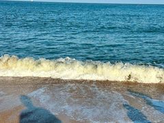 -日照海滨国家森林公园