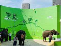 -大连森林动物园