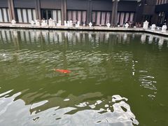 -三亚亚龙湾铂尔曼别墅度假酒店