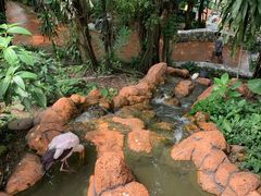 -吉隆坡雀鸟公园