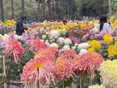-贵州省植物园