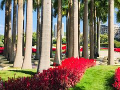 -深圳国际园林花卉博览园