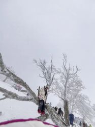 -大秃顶子山