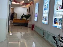-北京观赏动物医院·24小时大型综合·猫专科·异宠专科
