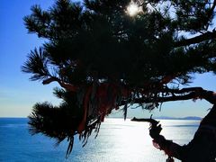 -广鹿岛景区