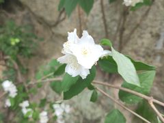 -秦岭终南山世界地质公园翠华山景区
