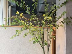 -蘸小院铁锅炖·蘸酱菜·东北菜(怀远门店)