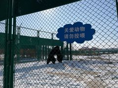 -鄂尔多斯野生动物园