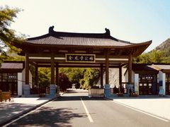 -金龙寺国家森林公园