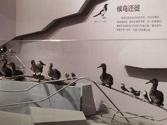 -长江文明馆