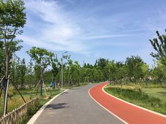 -上海长兴岛郊野公园