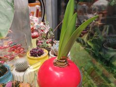 -FEI FEI FLOWER鲜花店·气球派对·宝宝宴布置(虹口德必运动Loft店)