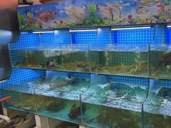 -陈小厨海鲜大咖·15年平潭味(龙王头店)