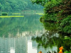 -重庆彩云湖湿地公园