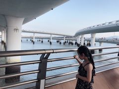 -演武大桥观景平台