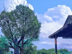 -上海野生动物园
