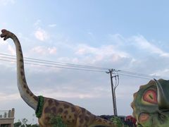 -菊园百果园