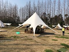 -前小桔亲子创意农场·草莓采摘·露营烧烤