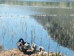 -华山风景区-华阳宫