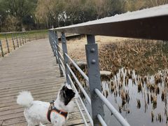 -贡湖湾湿地公园