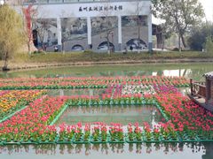 -苏州太湖湖滨国家湿地公园