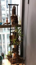 -周忆刺青原创设计定制