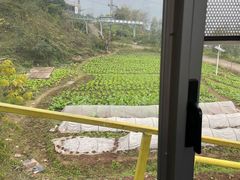 -美心红酒小镇游乐园