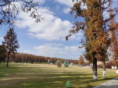 -黄海国家森林公园