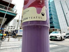 -星满杯TEAFUL(罗湖东门店)