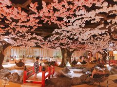 -蓝鲸湾汤泉(包河店)