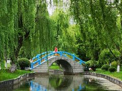-中央公园(苏州工业园区)