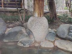 -张家港金凤凰度假村温泉