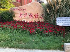 -湖北中医药大学(昙华林校区)