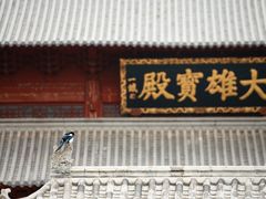 -古塔公园