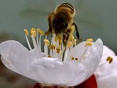 -苏州大学附属第二医院(三香院区)