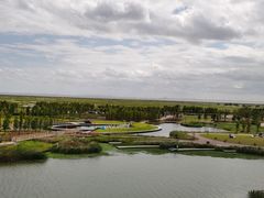 -春花秋色城市公园