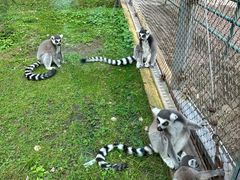 -哈尔滨北方森林动物园